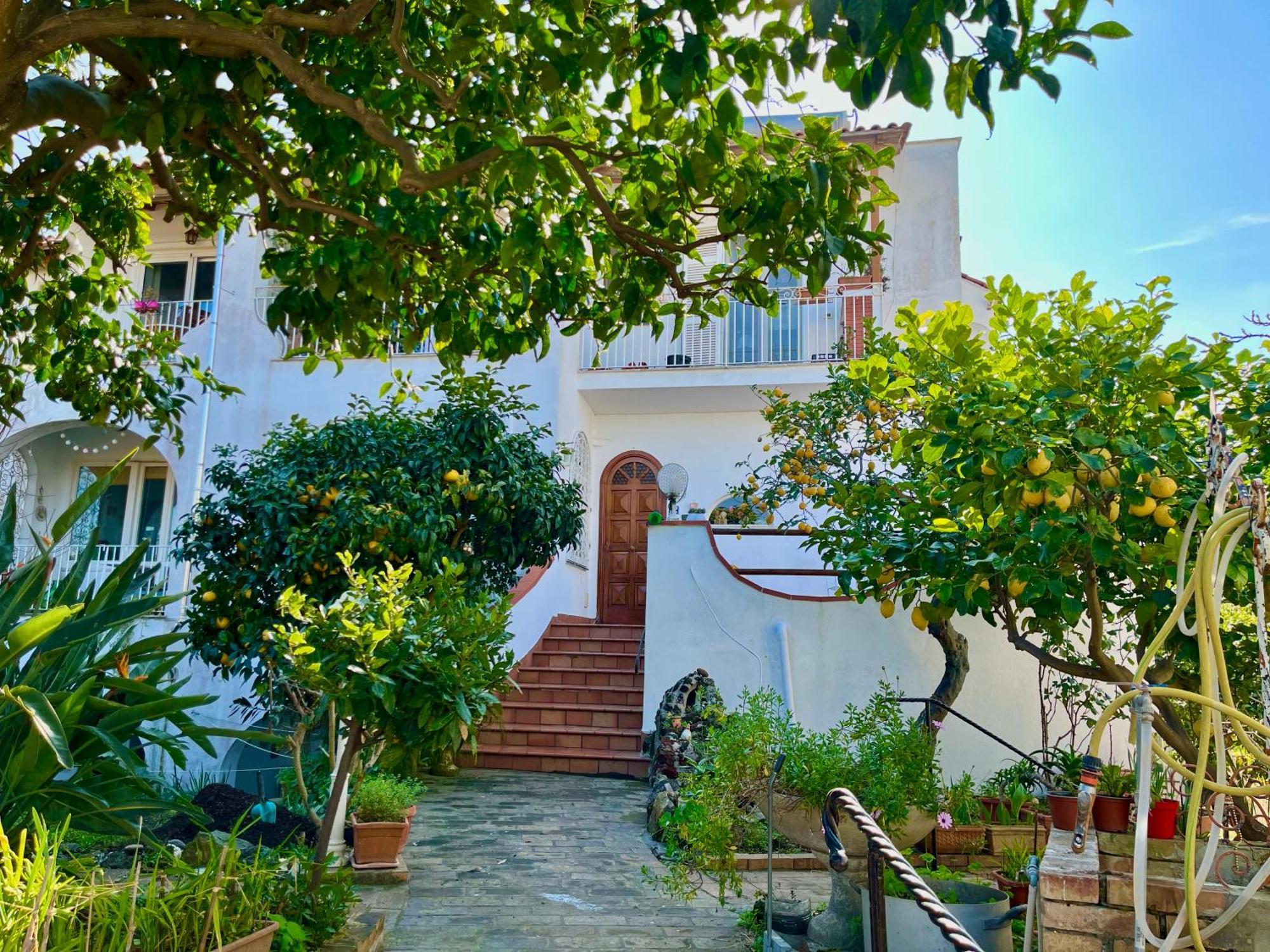 Villa Elke 이스키아 외부 사진